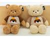 Cross-Border Sweater Teddy Bear Plush Toy – Children’s Gift