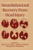 The Neurobehavioral Recovery from Head Injury Book