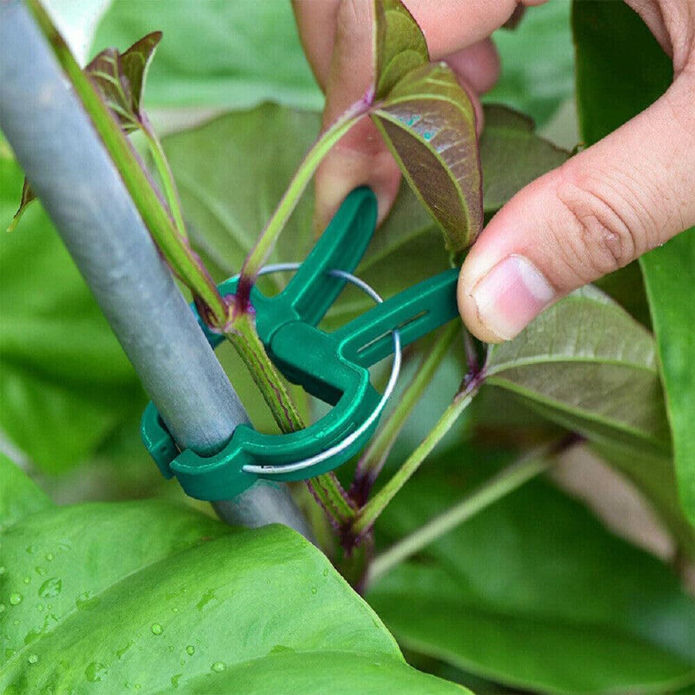Robuste Gartenpflanzenclips Wiederverwendbar Schnellverschluss Grüner Kunststoff Stützen Außen Gewächshaus Gartenarbeit