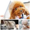 Stainless Steel Pet Dematting Comb Professional Dog Grooming Comb  For Dogs and Cats