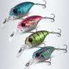 Professional Plastic Fishing Lure 5 Colors 3D Printed Floating Minnow Baits 5.8cm 6g Artificial Lures Fishing