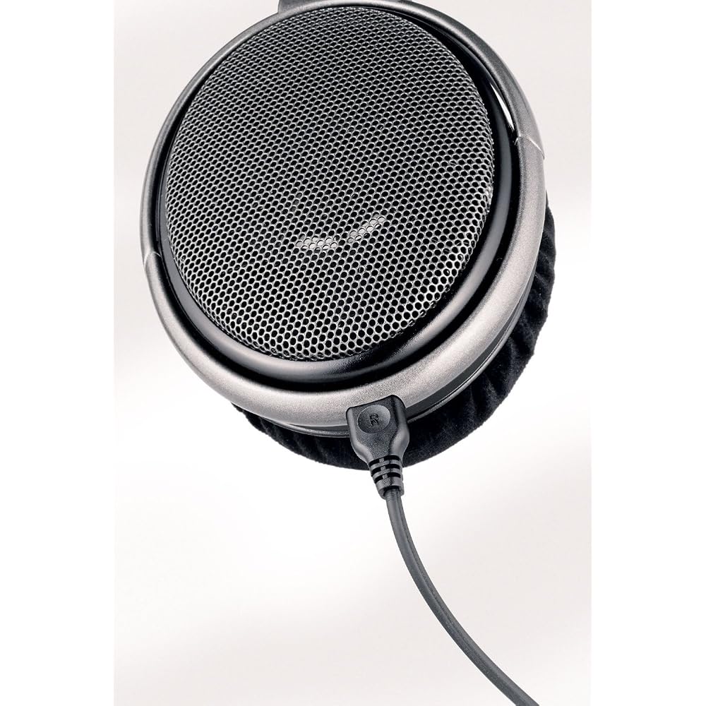 Sennheiser HD650 Dynamic Open-Air Headphones (High-Grade Model) [Parallel Import]