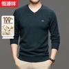Hengyuanxiang Men's 100% Pure Wool V-Neck Pullover Sweater