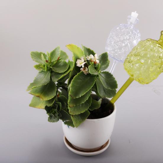 Self Watering Bulbs Pineapple Design Plant Watering Globes Planter Insert Automatic Watering Device for Indoor Outdoor Potted Plants