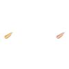 Estee Lauder Double Wear Stay in Place Makeup SPF10 PA++ 30ml, Bone 1W1, 1 piece