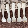 Seashells Conch Natural Teaspoon Stirring Tool Coffee Scoop Caviar Spoons