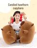 Adorable Candied Hawthorn Capybara Plush Toy - Cute and Quirky Birthday Gift for Girls