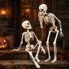 Full Size Skeleton for Scary Events Halloween Decoration, 3Ft Life Body Human Bone, Realistic Posable Simulation Bone Structure Stage Setup