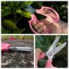 Purple Garden Pruning Shears Pink Floral Scissors Bonsai Tool Pruning Tools  Garden Pruners