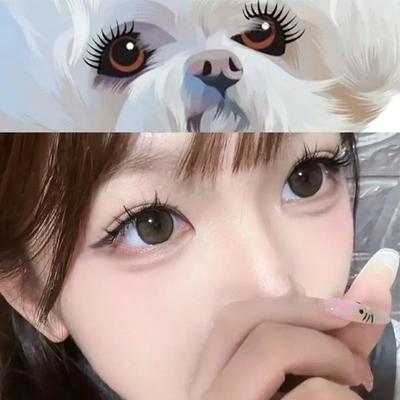 Eyelashes Puppy Series Single Clusters False Eyelashes Suitable For Round Eyes Fluffy Natural Thick Curl Beauty Daily Makeup