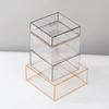 WTEMPO 10pcs Transparent Packaging Boxes Clear Plastic Portable Foldable Cake Boxes Durable Presentation Boxes for Candy and Desserts