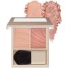 Bisse Layered Fully Cheek Blusher BR-8 Jasmine Brown