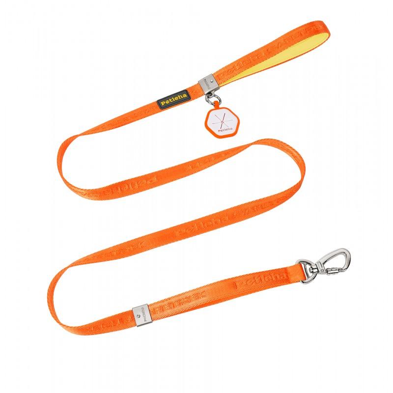 Dog Leash No Hand Chafe Small Large Dogs Pet Walking Lead S M Length Options