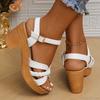 Fashion Women's Braided High Heels Sandals 2025 Summer Chunky Platform Gladiator Sandals Woman Ankle Straps Vacation Casual Beach Shoes