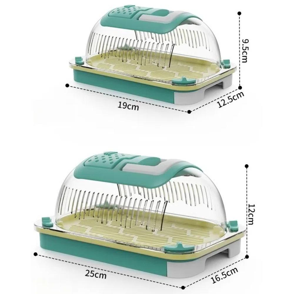 Large Capacity Reptiles Observation Boxes Hand-held Lizards Carrying Case  for Outside