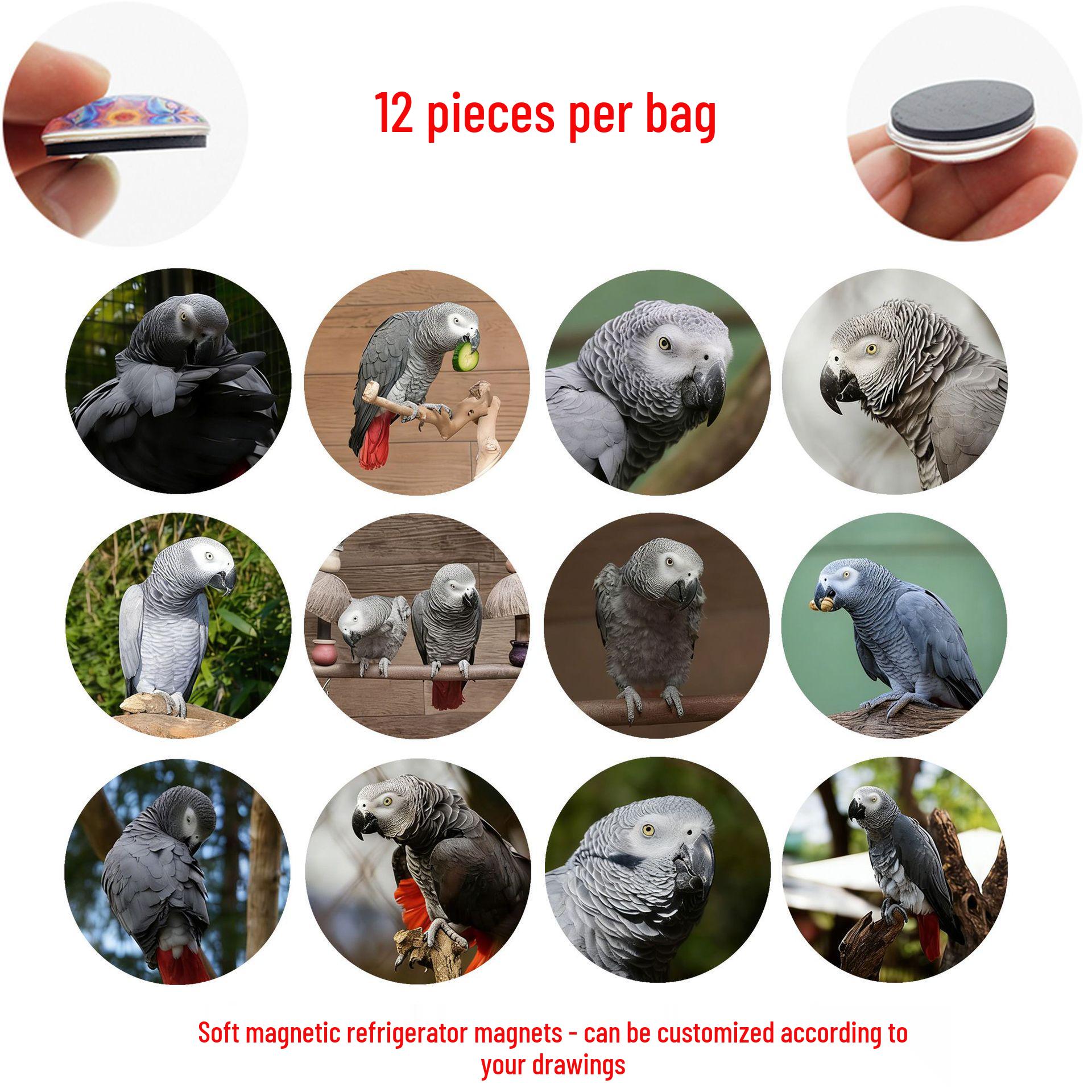 

African Grey Parrot Magnetic Refrigerator Glass Sticker 25 mm fridge magnets set of 12 (MZX159)