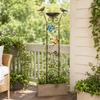 Traliccio da Giardino Esterno con Vasca per Uccelli e Supporto per Piante Rampicanti Struttura Metallica Elemento Decorativo da Giardino per Piante e Uccelli