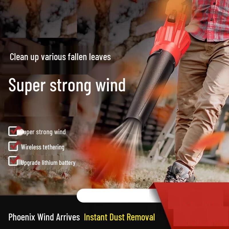 Dunzhu 21V Cordless Lithium Blower CN Plug (adapter Included)