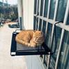 Space Saving Cat Hammock Hanging Suspended Cat Bed Gifts Pet Hammock  Indoor Cats