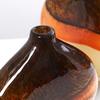 Glazen Vaas Gekleurd Verloop Dikke Glazen Fles Hydrocultuur Terrarium Bloemschikken Accessoires Woondecoratie