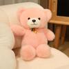 Teddy Bear Plush Teddy Bear Doll Creative Cute Bear Doll Gift for Girlfriend