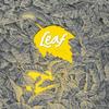 Leaf by Daishu Ma Hardback Book 9781606998533