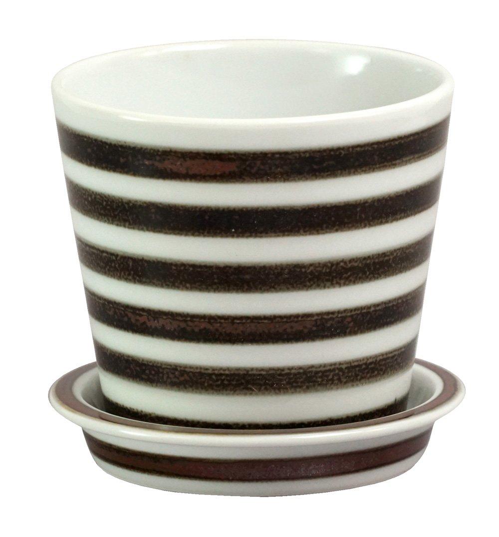 

Saikaitoki Hasami ware table pot with a border 13683 Essence (flower pot) pattern, brown,