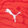 Puma Austria 24 Fashion Print Crew Neck Short Sleeve Football Shirt Men Tops Red Dark-Red 774010-01