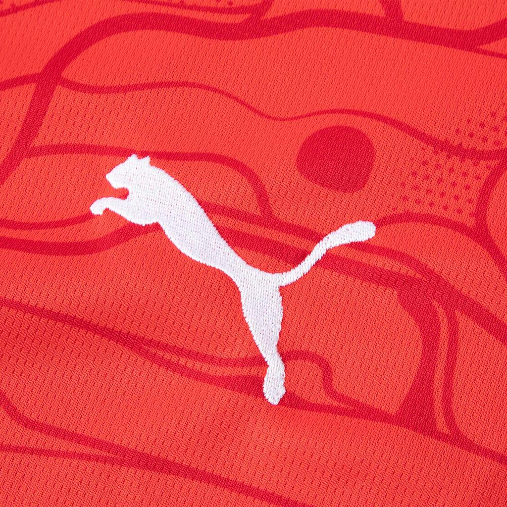 Puma Austria 24 Fashion Print Crew Neck Short Sleeve Football Shirt Men Tops Red Dark-Red 774010-01