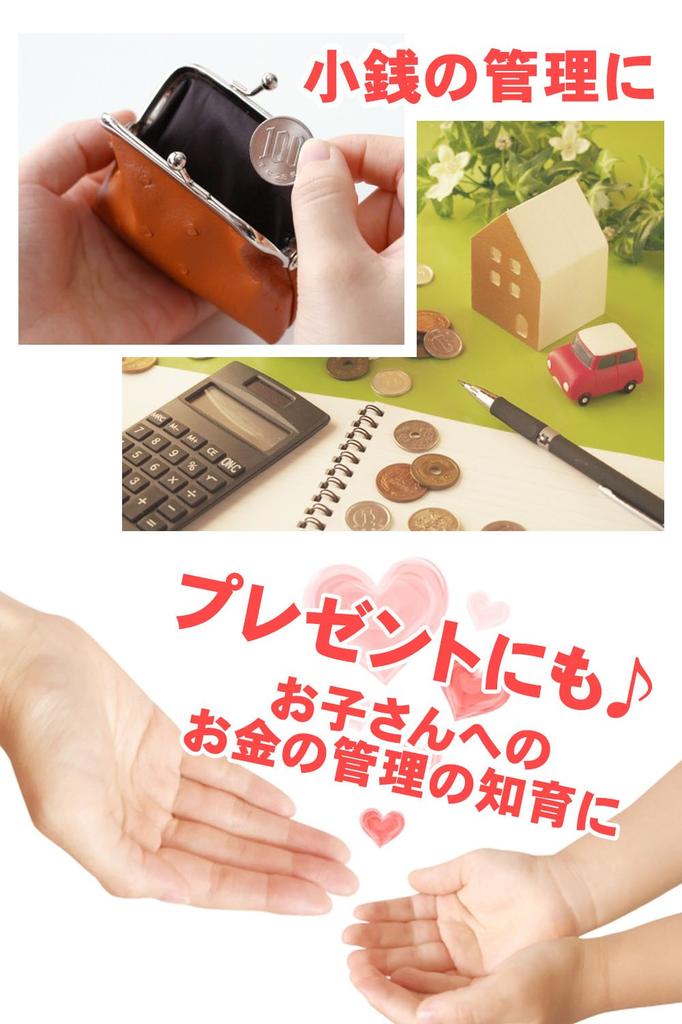 mikketa Piggy Bank for Bills and My Dial Gift Warranty Coins, Personal, Lock, Security, Kids, Present, [Manufacturer's Included] (01 Silver)