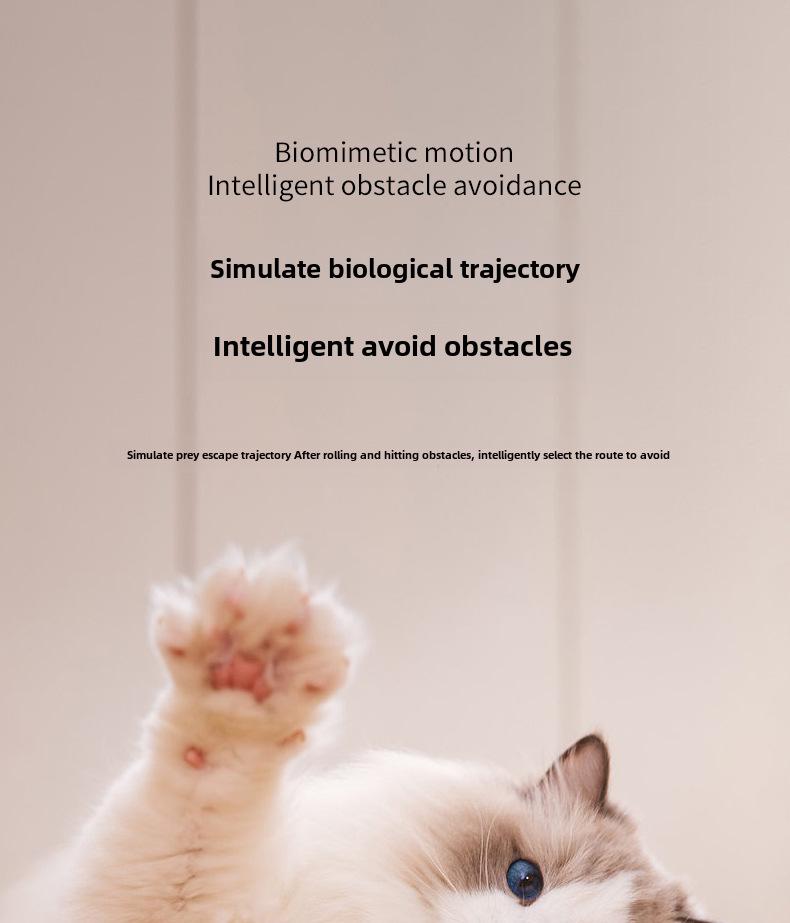 Intelligent Rolling Cat Toy: Gravity-Powered Ball To Relieve Boredom and Entertain Kittens