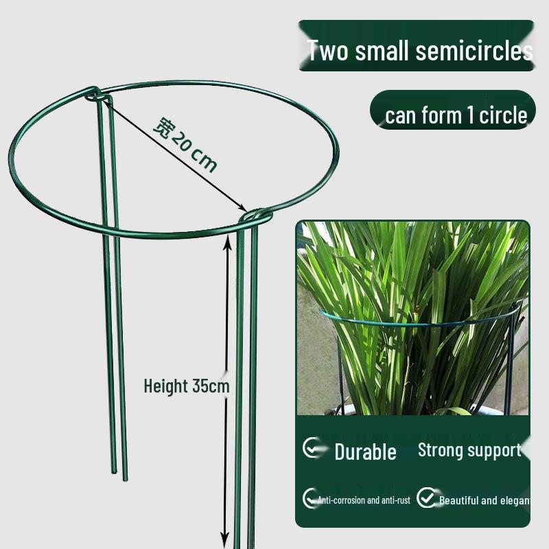 Newcomer Exclusive Flower Stand: Support Rod & Protection Frame for Money Tree