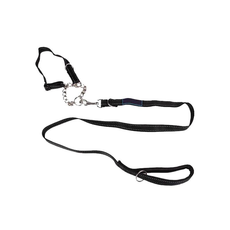 Dog Training Leash and Three-Ring Collar Set