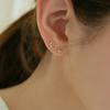 Lunne 14K Cut Crescent Earrings (14K Gold) #Es13