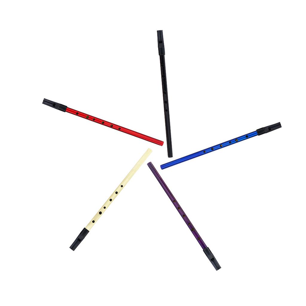 Flet irlandzki D 6-otworowy Klarnet Początkujący Uczniowie Ćwiczenie Gry Tin Whistle Flet Instrumenty Muzyczne