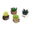 Lifelike Mini Artificial Fleshy Cactus Plant Landscape Decorative Potted Plants
