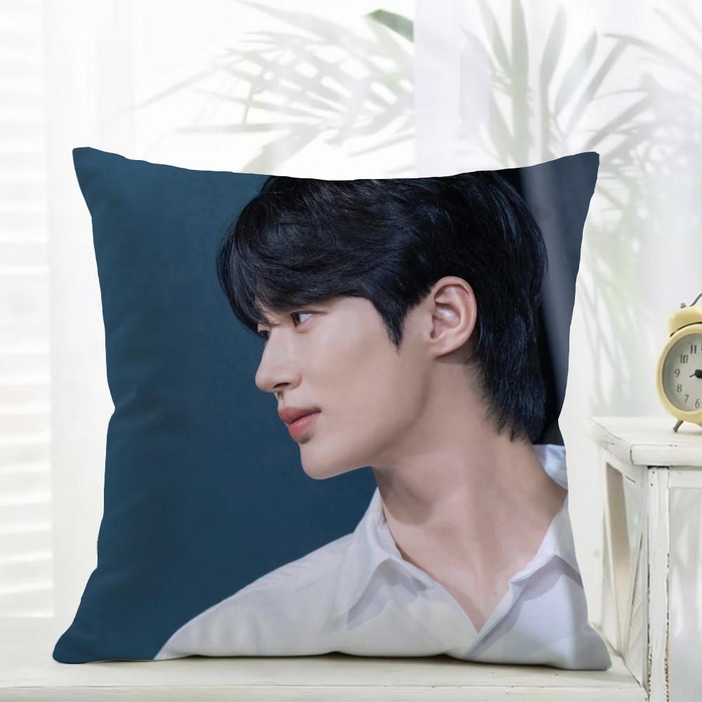 Byeon Wooseok Cushion Cover comfort Daily Washable Linen Soft  for Sofa Bed Home Room Decor 30x30cm