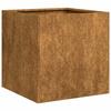 VidaXL Jardinière rouillé 40x40x40 cm acier inoxydable, pot de fleurs, support de plantes, lit surélevé, support de 860667