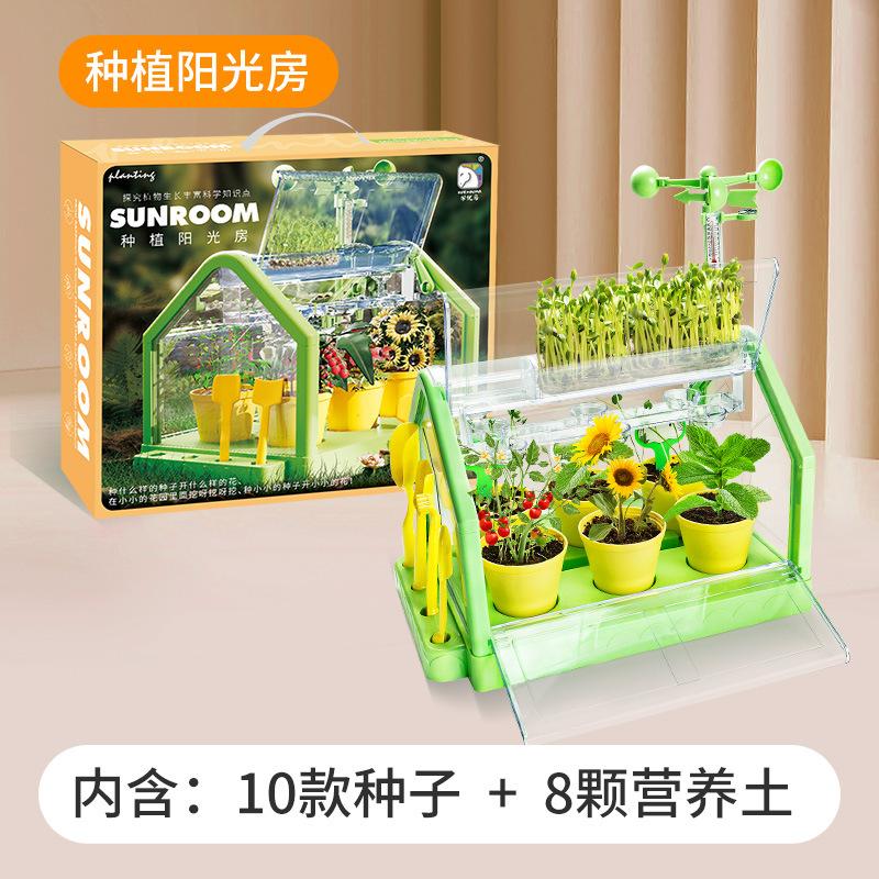 

Xueyouma Sunshine House Planting Детские игрушки для овощей Научный эксперимент Растение в горшке Ручная работа Материал для поделок Растение Цветочный дом зелёный
