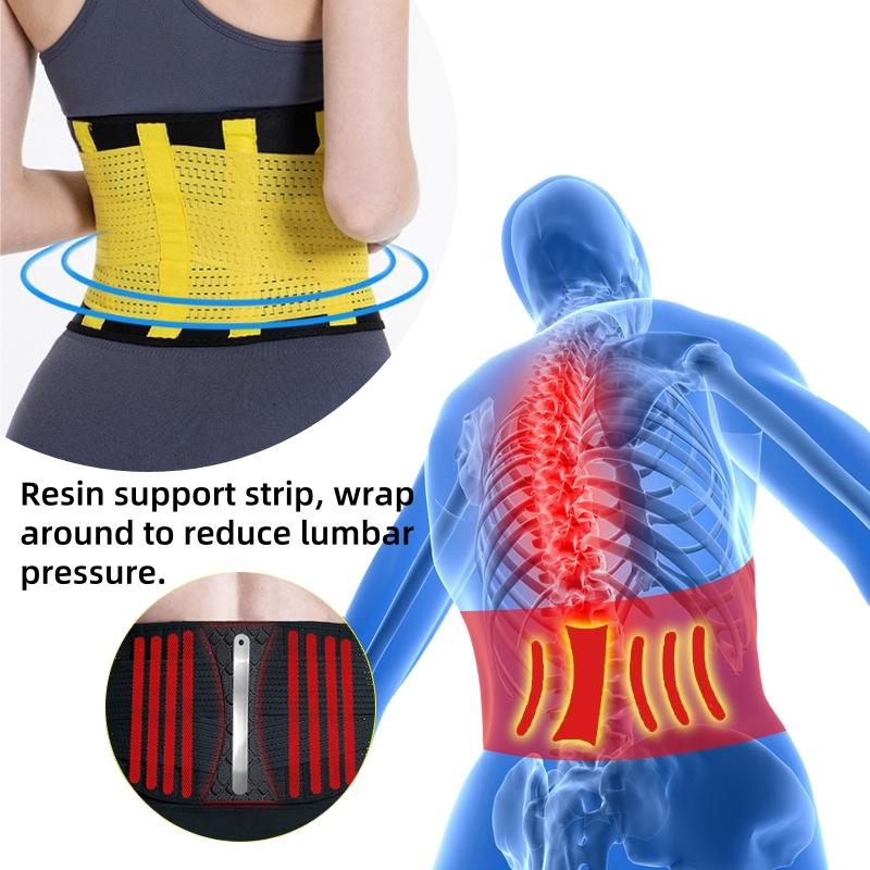 XXL Neoprene Waist Trainer Belt for Men Women Workout Fitness Waist Trimmer with Back Support Weight Loss Slimming Protection