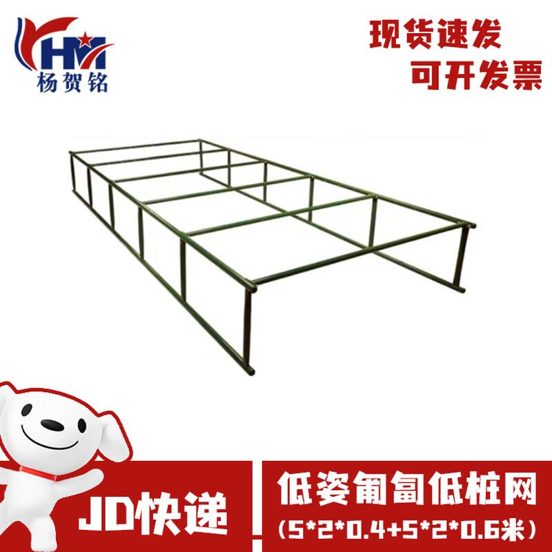 Tactical Low Obstacle Net Training System