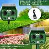 Ultrasonic Animal Crow Pest Alarm Bird Cat Rodent Infrared Detection Range Pest Control Dog USB Solar Standby 5 Repellent IP64 Protection Repellent,
