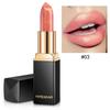 9 Farben wasserdicht Nude Pink Glitter Lippenstift Make-up langlebig Velve Red Mermaid Sexy Schimmer Lippenstifte Kosmetik Schönheit