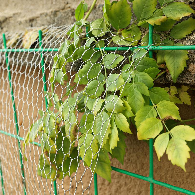 3M Chicken Iron Wire Mesh Animal Fence Net Hexagonal Netting Fencing Cages Aviary Fence for DIY Craft Home Garden Supplies