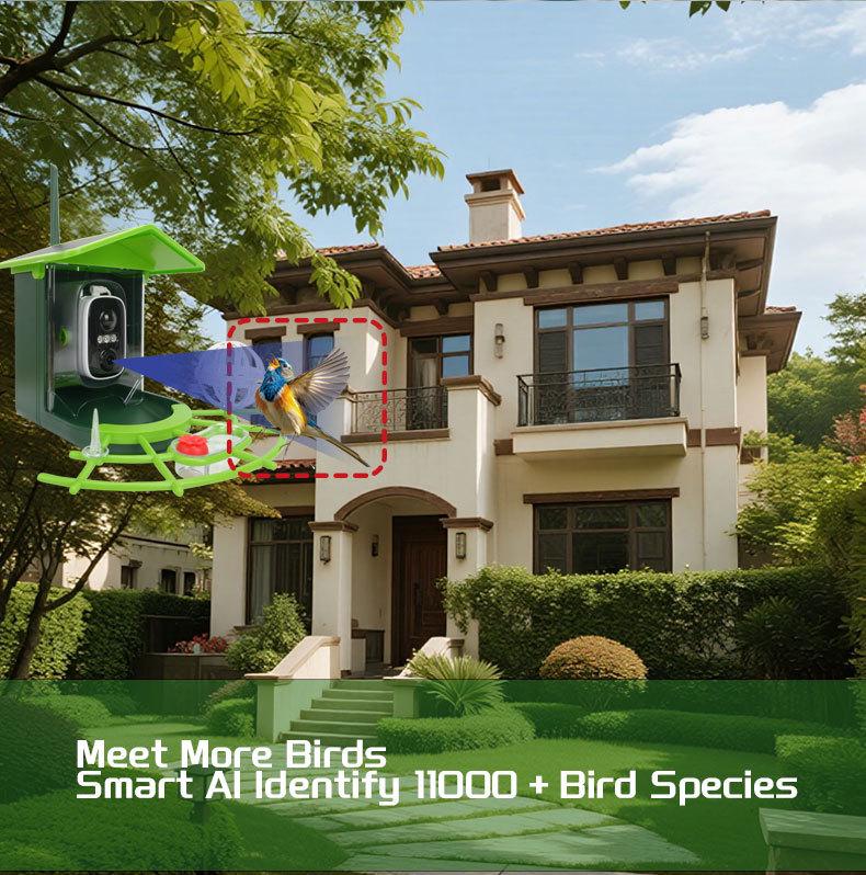 Solar-Powered Smart Bird Watching Feeder with Camera