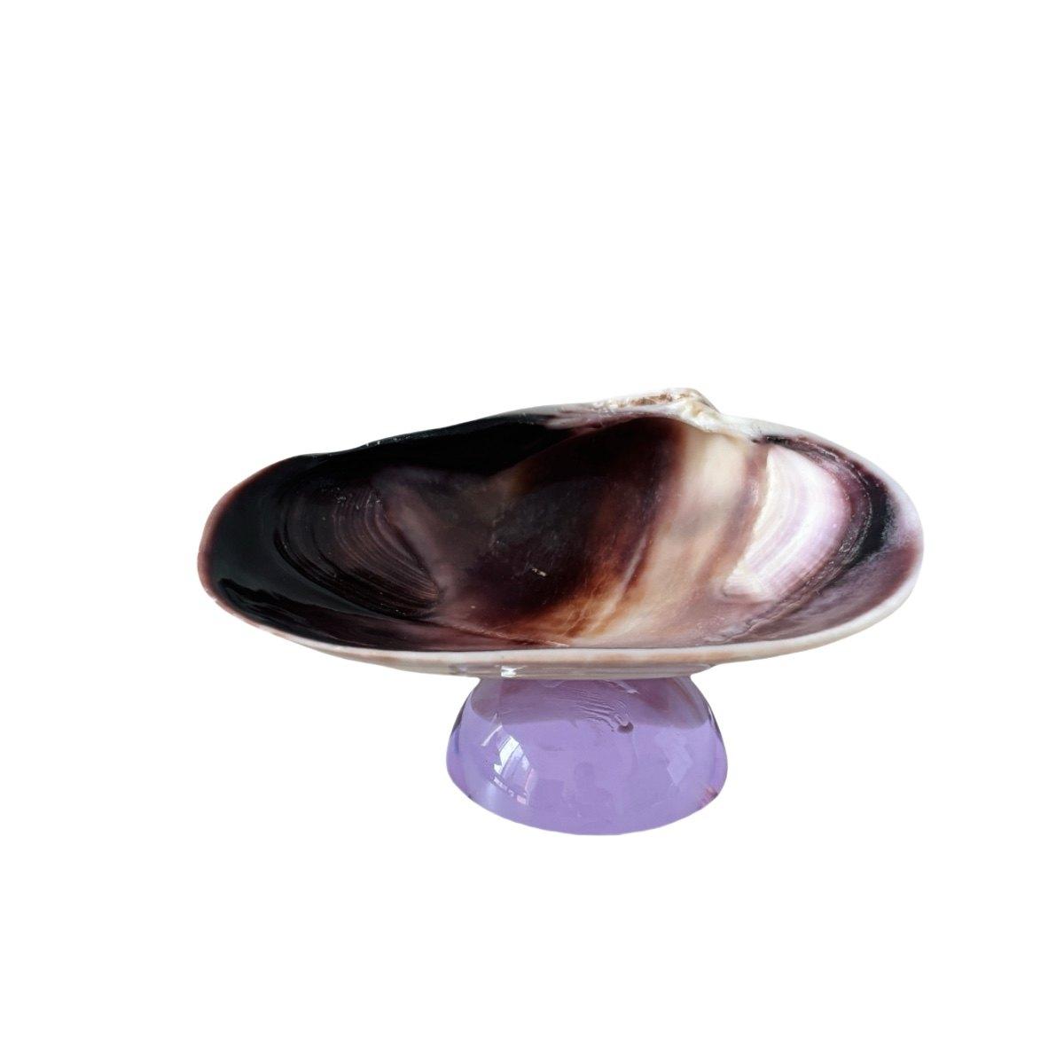 

Creative Natural Shell Tray with Colorful Glass Base Jewelry Tray Dessert Fruit Plate Exquisite Shell Snack Dish Home Decoration
