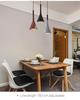 Nordic Wrought Iron Pendant Light - Modern Creative Single-Head Lamp for Restaurant, Bar, Bedroom, and Bedside.