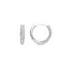 Luxenter Ihdel Earrings Rhodium Finish