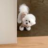 Pet Autumn and Winter Clothing Teddy Bichon Vest Yorkshire Small Dog Pomeranian Cat Dog Clothing Autumn Warm