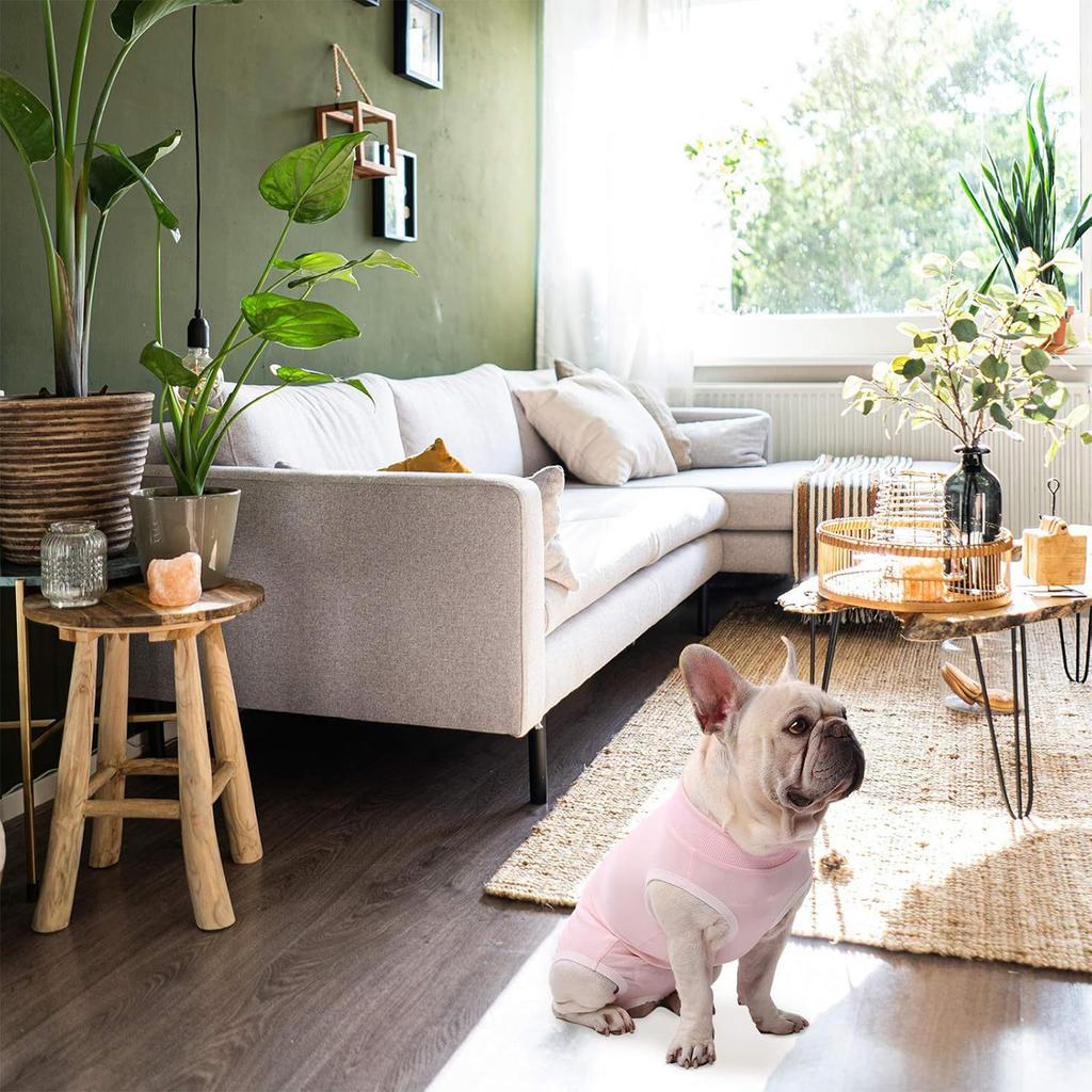 Cats Surgeries Recovery Suit Cats Vests Pet Shirt Protective Wear Recovery Clothes for Small Media Pet